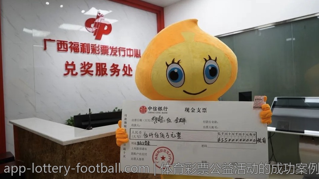 体育彩票公益活动的成功案例分析