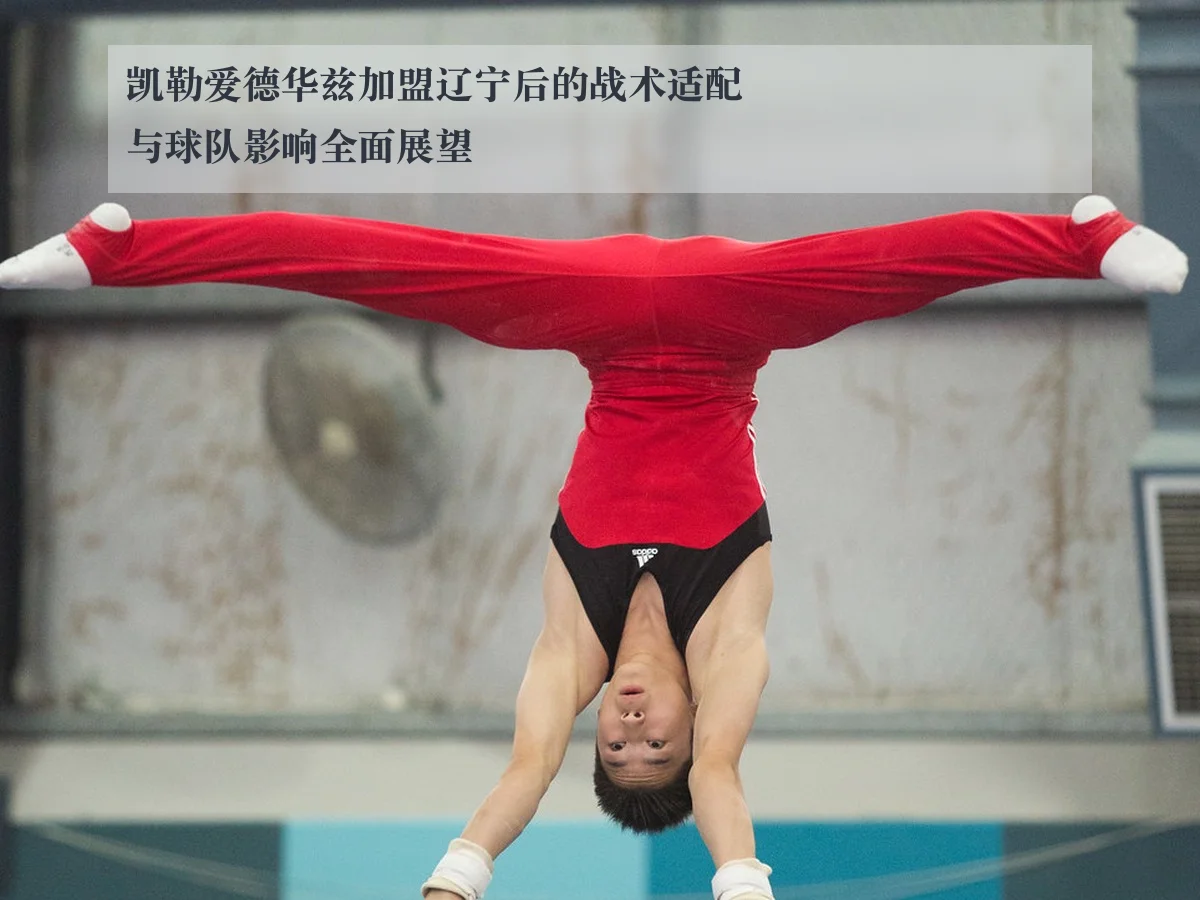 凯勒爱德华兹加盟辽宁后的战术适配与球队影响全面展望